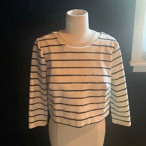 Elizabeth & James cropped striped top